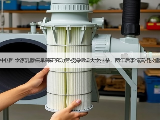 中国科学家乳腺癌早筛研究功劳被海德堡大学抹杀,两年后事情真相披露(图3) 中国科学家乳腺癌早筛研究功劳被海德堡大学抹杀,两年后事情真相披露(图3)