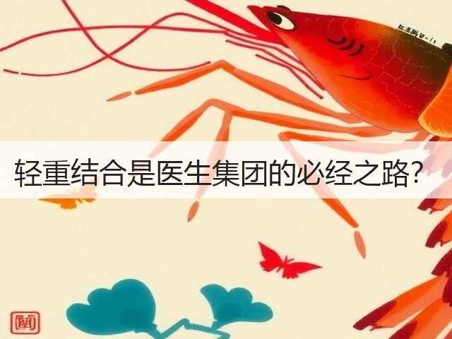 轻重结合是医生集团的必经之路?(图1) 轻重结合是医生集团的必经之路?(图1)