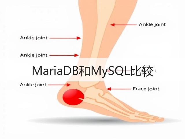 MariaDB和MySQL比较(图2) MariaDB和MySQL比较(图2)