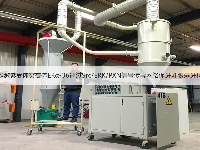 雌激素受体突变体ERα-36通过Src/ERK/PXN信号传导网络促进乳腺癌进程(图1)