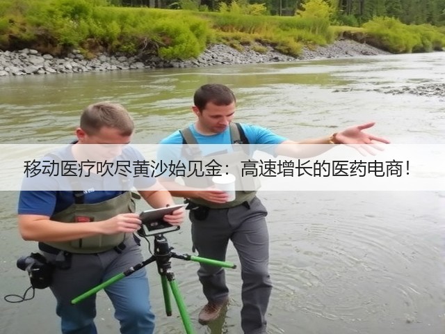 移动医疗吹尽黄沙始见金:高速增长的医药电商!(图1) 移动医疗吹尽黄沙始见金:高速增长的医药电商!(图1)
