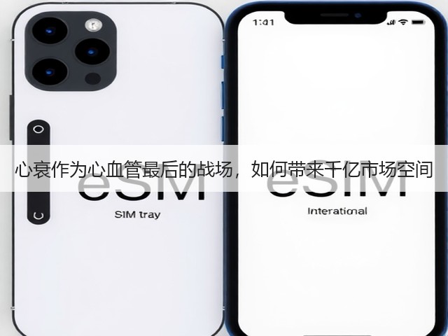 心衰作为心血管最后的战场,如何带来千亿市场空间(图2) 心衰作为心血管最后的战场,如何带来千亿市场空间(图2)