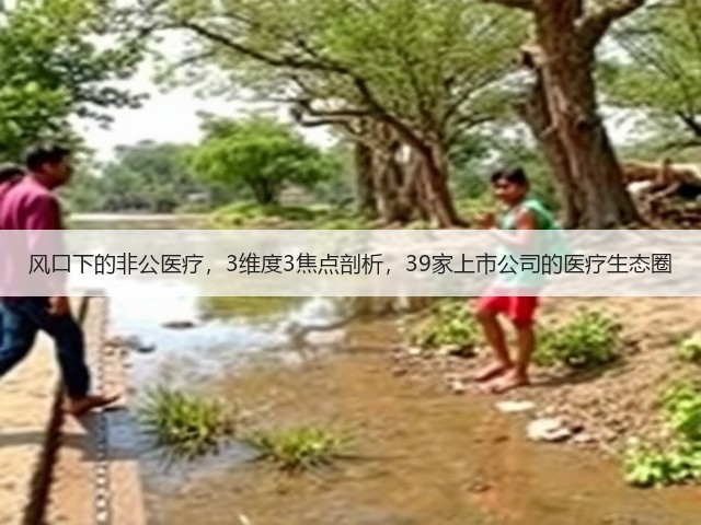 风口下的非公医疗,3维度3焦点剖析,39家上市公司的医疗生态圈(图1) 风口下的非公医疗,3维度3焦点剖析,39家上市公司的医疗生态圈(图1)