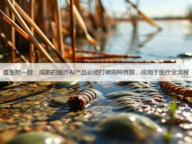 重医附一院：成熟的医疗AI产品必须打破病种界限，应用于医疗全流程(图3)