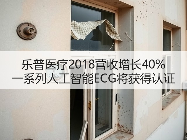 乐普医疗2018营收增长40% 一系列人工智能ECG将获得认证(图2) 乐普医疗2018营收增长40% 一系列人工智能ECG将获得认证(图2)