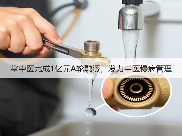 掌中医完成1亿元A轮融资,发力中医慢病管理(图1) 掌中医完成1亿元A轮融资,发力中医慢病管理(图1)