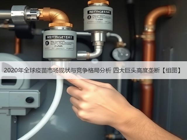 2020年全球疫苗市场现状与竞争格局分析 四大巨头高度垄断【组图】(图1) 2020年全球疫苗市场现状与竞争格局分析 四大巨头高度垄断【组图】(图1)