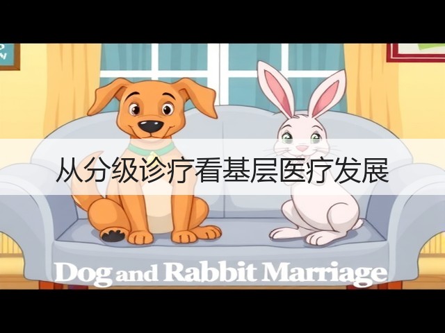 从分级诊疗看基层医疗发展(图2) 从分级诊疗看基层医疗发展(图2)