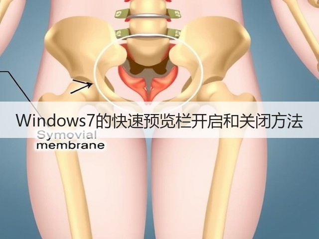 Windows7的快速预览栏开启和关闭方法(图3)