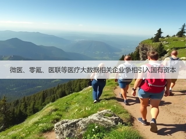 微医、零氪、医联等医疗大数据相关企业争相引入国有资本(图2) 微医、零氪、医联等医疗大数据相关企业争相引入国有资本(图2)
