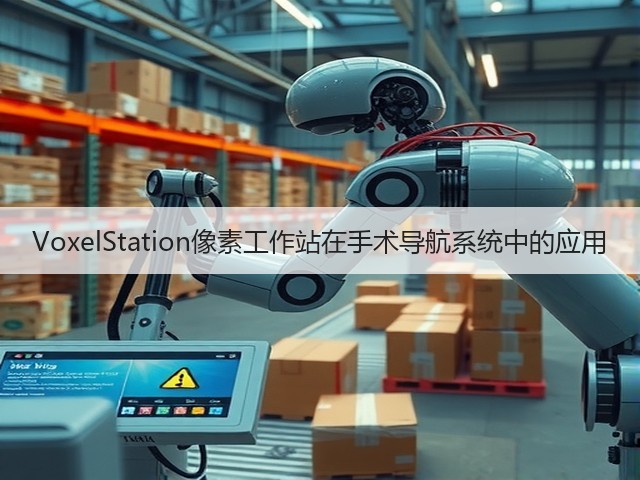 VoxelStation像素工作站在手术导航系统中的应用(图2)
