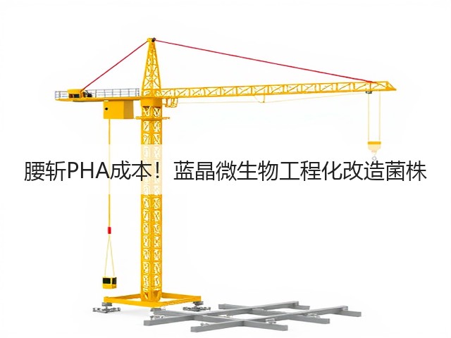 腰斩PHA成本!蓝晶微生物工程化改造菌株(图2) 腰斩PHA成本!蓝晶微生物工程化改造菌株(图2)
