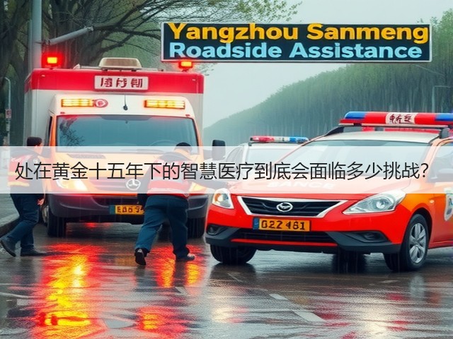 处在黄金十五年下的智慧医疗到底会面临多少挑战?(图2) 处在黄金十五年下的智慧医疗到底会面临多少挑战?(图2)