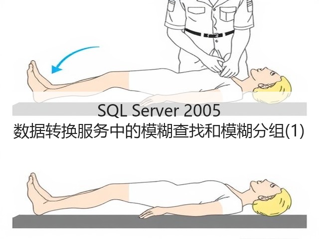 SQL Server 2005 数据转换服务中的模糊查找和模糊分组(1)(图1) SQL Server 2005 数据转换服务中的模糊查找和模糊分组(1)(图1)