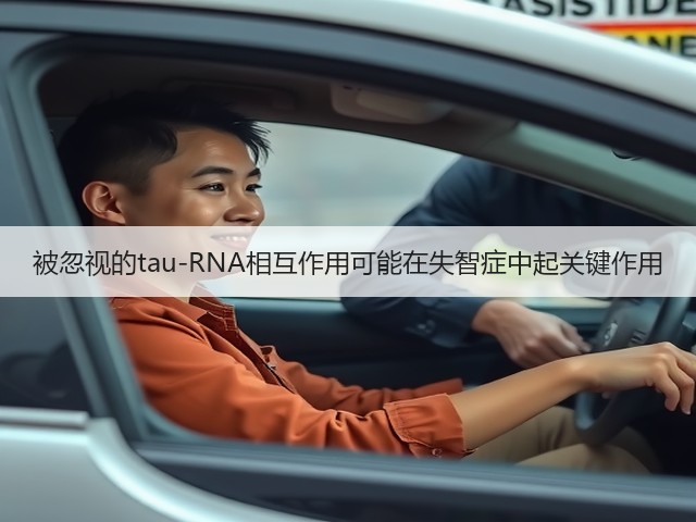 被忽视的tau-RNA相互作用可能在失智症中起关键作用(图2) 被忽视的tau-RNA相互作用可能在失智症中起关键作用(图2)