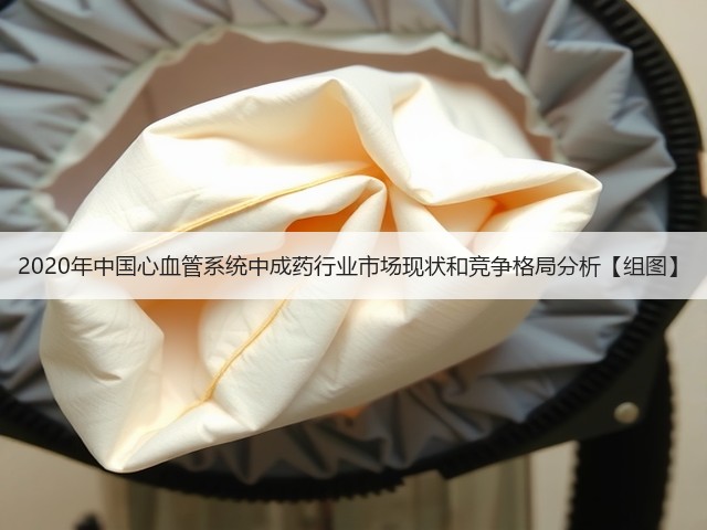 2020年中国心血管系统中成药行业市场现状和竞争格局分析【组图】(图1) 2020年中国心血管系统中成药行业市场现状和竞争格局分析【组图】(图1)