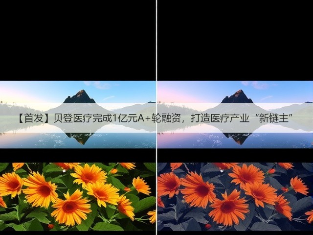 【首发】贝登医疗完成1亿元A+轮融资,打造医疗产业“新链主”(图1) 【首发】贝登医疗完成1亿元A+轮融资,打造医疗产业“新链主”(图1)
