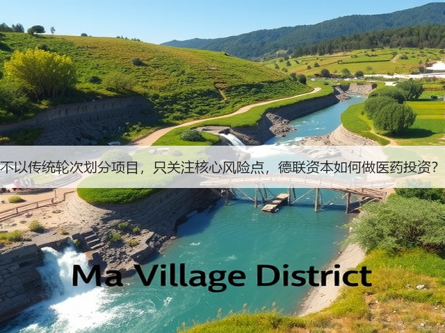 不以传统轮次划分项目,只关注核心风险点,德联资本如何做医药投资?(图3) 不以传统轮次划分项目,只关注核心风险点,德联资本如何做医药投资?(图3)