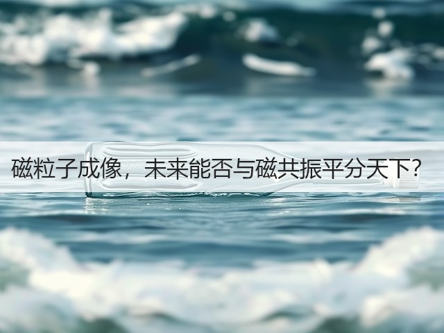磁粒子成像,未来能否与磁共振平分天下?(图2) 磁粒子成像,未来能否与磁共振平分天下?(图2)