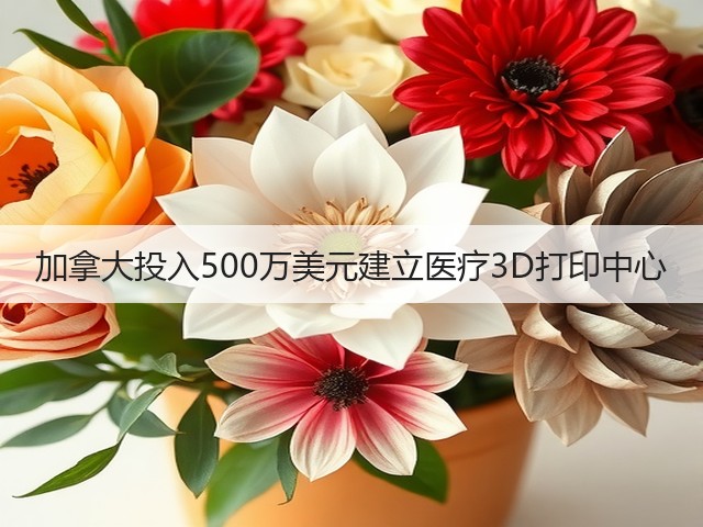 加拿大投入500万美元建立医疗3D打印中心(图1) 加拿大投入500万美元建立医疗3D打印中心(图1)