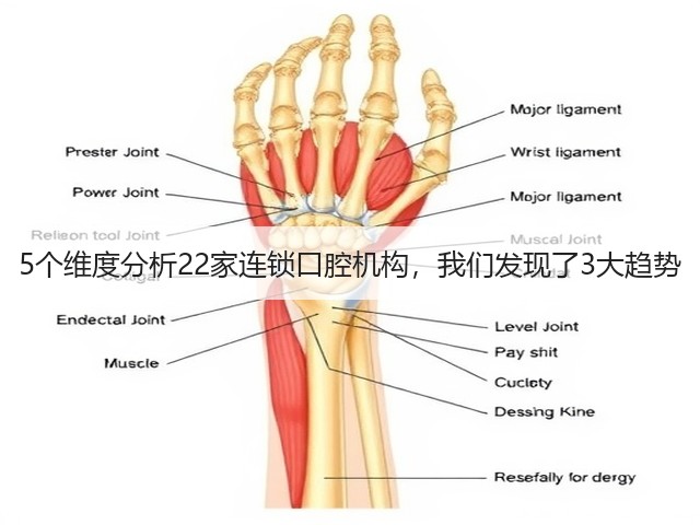 5个维度分析22家连锁口腔机构,我们发现了3大趋势(图2) 5个维度分析22家连锁口腔机构,我们发现了3大趋势(图2)