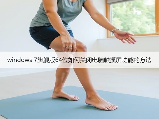 windows 7旗舰版64位如何关闭电脑触摸屏功能的方法(图2)