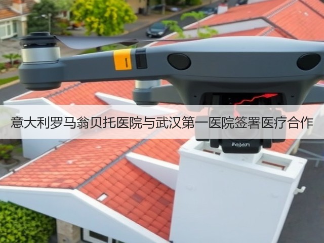意大利罗马翁贝托医院与武汉第一医院签署医疗合作(图3)