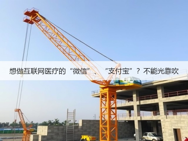 想做互联网医疗的“微信”、“支付宝”?不能光靠吹(图2) 想做互联网医疗的“微信”、“支付宝”?不能光靠吹(图2)