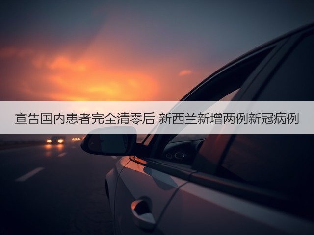 宣告国内患者完全清零后 新西兰新增两例新冠病例(图2) 宣告国内患者完全清零后 新西兰新增两例新冠病例(图2)