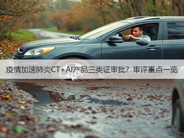 疫情加速肺炎CT+AI产品三类证审批?审评重点一览(图1) 疫情加速肺炎CT+AI产品三类证审批?审评重点一览(图1)