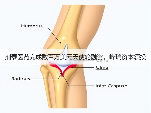 剂泰医药完成数百万美元天使轮融资,峰瑞资本领投(图3) 剂泰医药完成数百万美元天使轮融资,峰瑞资本领投(图3)