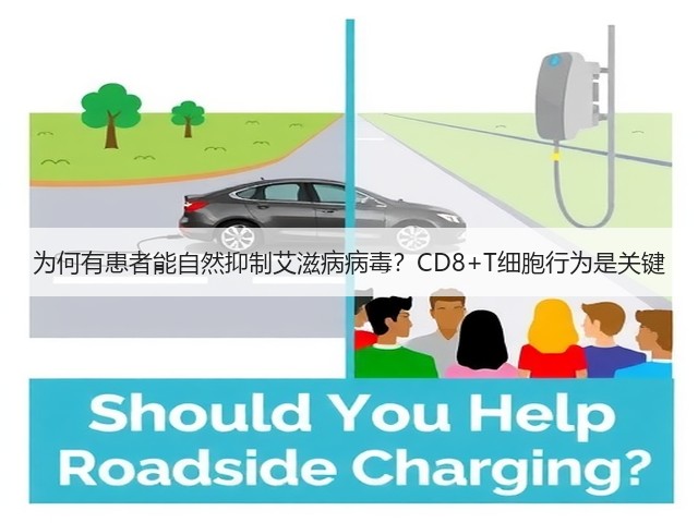 为何有患者能自然抑制艾滋病病毒?CD8+T细胞行为是关键(图1) 为何有患者能自然抑制艾滋病病毒?CD8+T细胞行为是关键(图1)