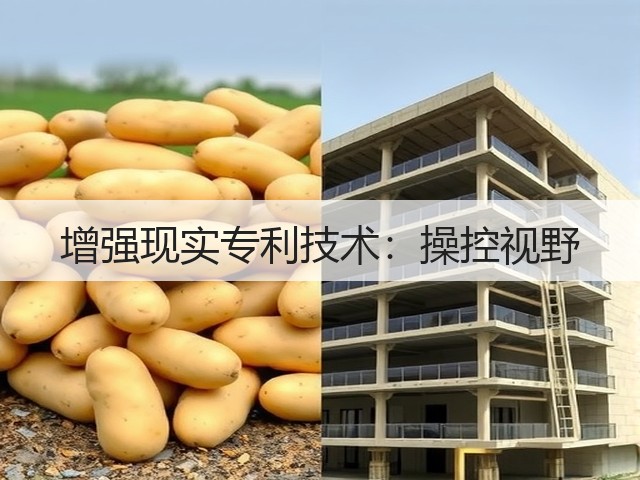 增强现实专利技术:操控视野(图1) 增强现实专利技术:操控视野(图1)