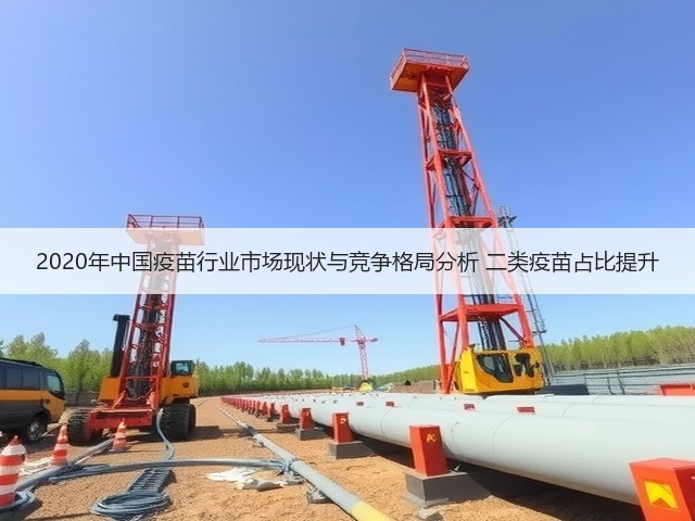 2020年中国疫苗行业市场现状与竞争格局分析 二类疫苗占比提升(图3) 2020年中国疫苗行业市场现状与竞争格局分析 二类疫苗占比提升(图3)