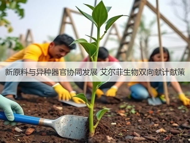 新原料与异种器官协同发展 艾尔菲生物双向献计献策(图1) 新原料与异种器官协同发展 艾尔菲生物双向献计献策(图1)