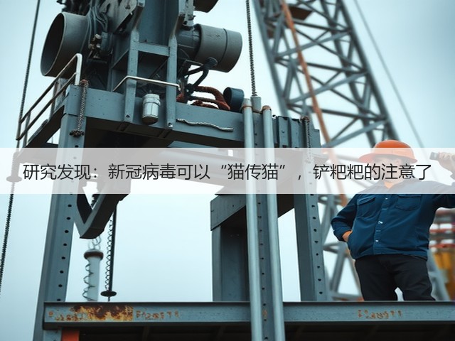 研究发现:新冠病毒可以“猫传猫”,铲粑粑的注意了(图3) 研究发现:新冠病毒可以“猫传猫”,铲粑粑的注意了(图3)