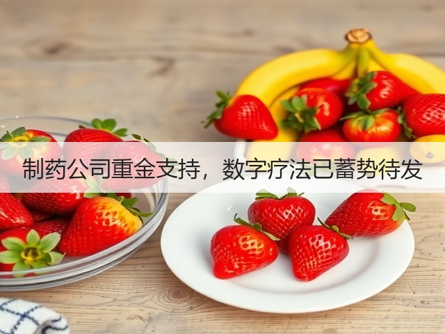 制药公司重金支持,数字疗法已蓄势待发(图2) 制药公司重金支持,数字疗法已蓄势待发(图2)