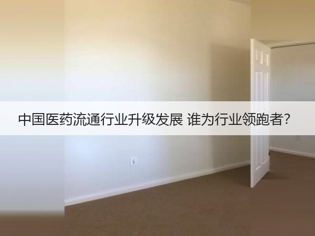 中国医药流通行业升级发展 谁为行业领跑者?(图2) 中国医药流通行业升级发展 谁为行业领跑者?(图2)