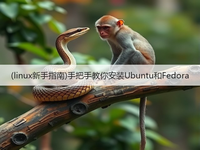 (linux新手指南)手把手教你安装Ubuntu和Fedora(图3) (linux新手指南)手把手教你安装Ubuntu和Fedora(图3)