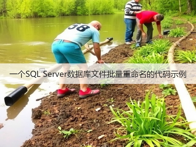 一个SQL Server数据库文件批量重命名的代码示例(图2) 一个SQL Server数据库文件批量重命名的代码示例(图2)