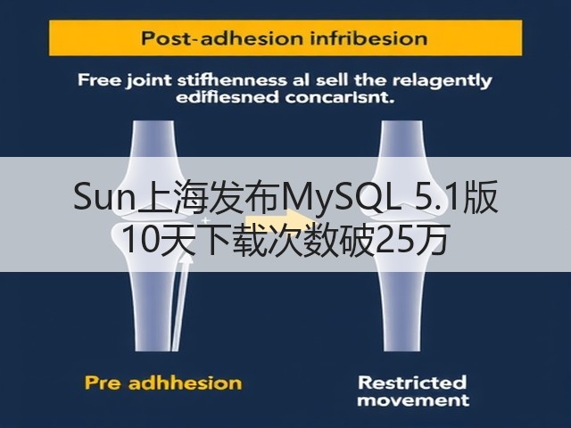 Sun上海发布MySQL 5.1版 10天下载次数破25万(图3) Sun上海发布MySQL 5.1版 10天下载次数破25万(图3)