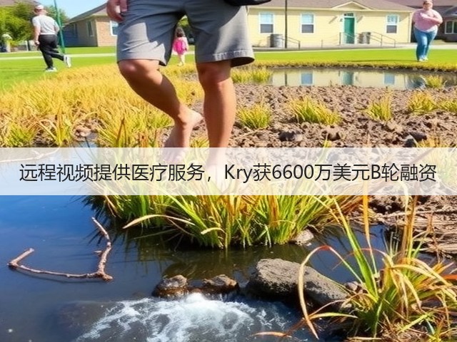 远程视频提供医疗服务,Kry获6600万美元B轮融资(图1) 远程视频提供医疗服务,Kry获6600万美元B轮融资(图1)