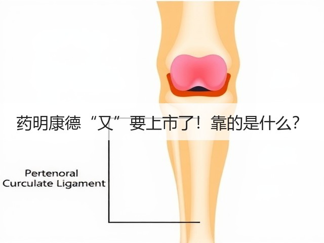 药明康德“又”要上市了!靠的是什么?(图1) 药明康德“又”要上市了!靠的是什么?(图1)